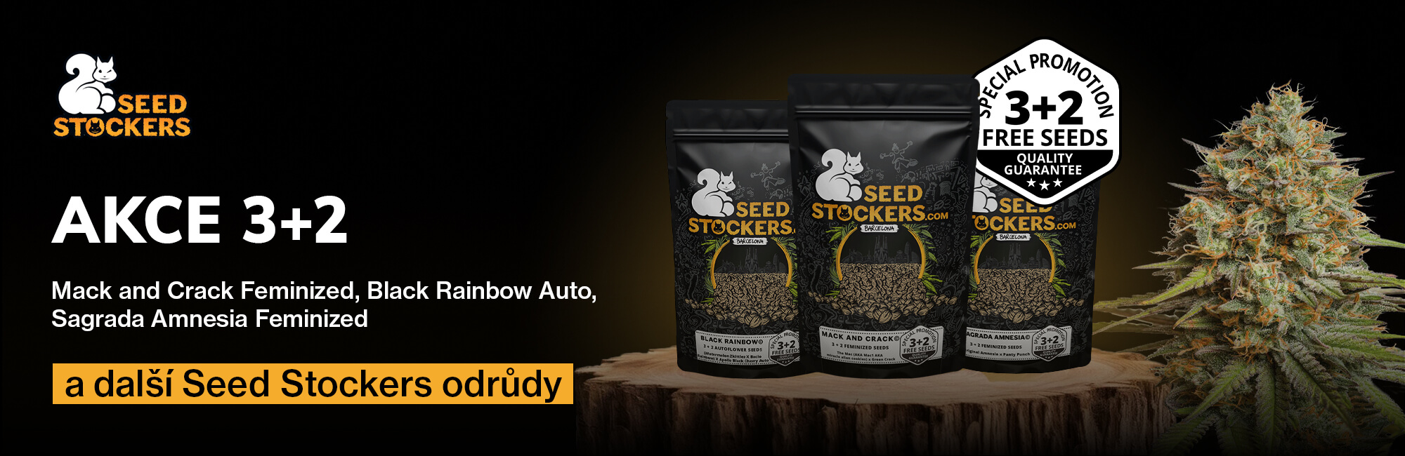 Seedstockers