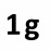 1 g