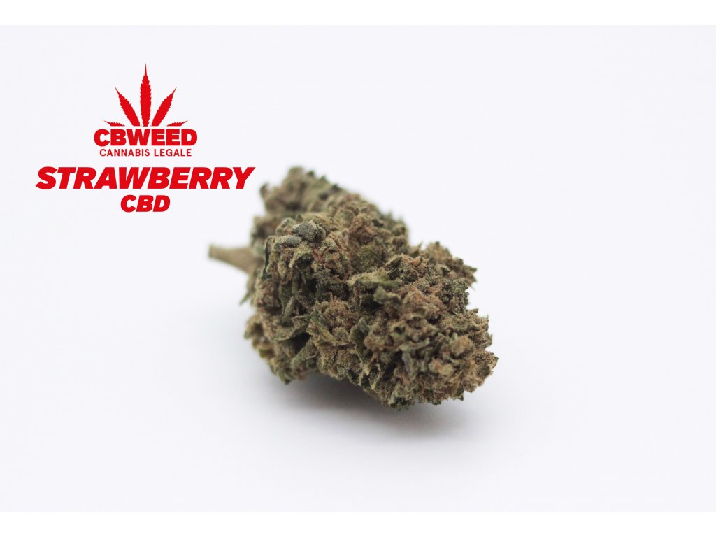 cbweed strawberry konopi cbd marihuana