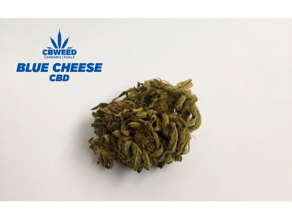 cbweed bluecheese konopi cbd marihuana palice
