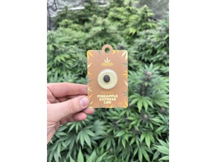 cbweed hash pineapple