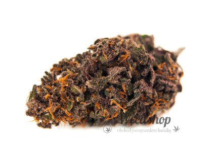 cbd konopi s thc