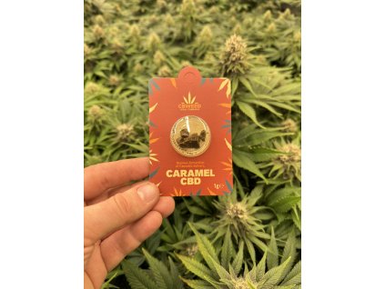 hasis cbd caramel