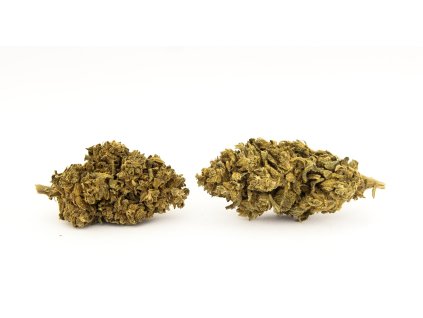 cbd konopi haze trava marihuana