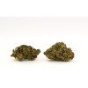amnesia cbd konopi marihuana trava