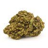 amnesia cbd konopi marihuana