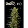 black rainbow auto