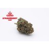 cbd konopi strawberry cbweed kvety