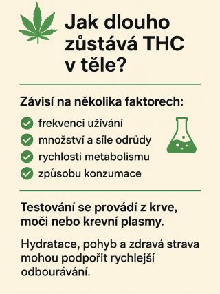 🧠 Jak dlouho zůstává T•C v těle? T•C se v těle drží déle, než trvá jeho účinek. ⏳ 👉 Jednorázově: 1–3 dny 👉 Pravidelně: až...