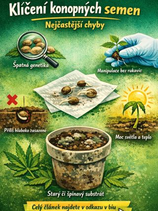 Klíčení je základ úspěchu 🌱 Nejčastější chyby? Nekvalitní semena, příliš hluboké zasazení, starý substrát nebo přehnané...