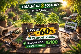 Dopřej si radost právě teď 🌿 Na vybrané odrůdy právě běží slevy až -60 %, takže ideální příležitost doplnit zásoby nebo...