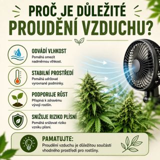 🌿 Proč je proudění vzduchu pro rostliny důležité? 💨 Přirozený pohyb vzduchu pomáhá udržovat vyrovnanější prostředí,...
