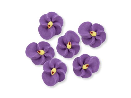 2020 GD zuckerblumen veilchen C (1)