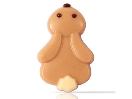 Dobla Chocoladedecoratie Haas 108 stuks 2b3e