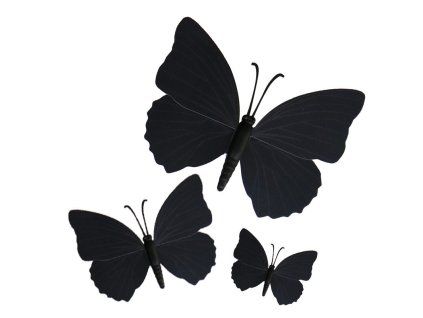 assorted black magnetic butterflies x3