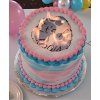 cake2 (1)