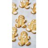 royal icing 5095