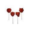 chocolate mould lollipops jungle animals (1)