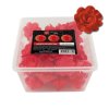 large red unleavened roses patisdecor pro x40