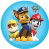 Decoratie Sheet Paw Patrol 20cm b46f