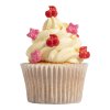 SKB1020 04 CUPCAKE SCHARMS SWEETCHERRIES
