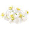orange blossom extract 50 ml (1)