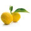 yuzu extract 50 ml (1)