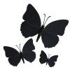 assorted black magnetic butterflies x3