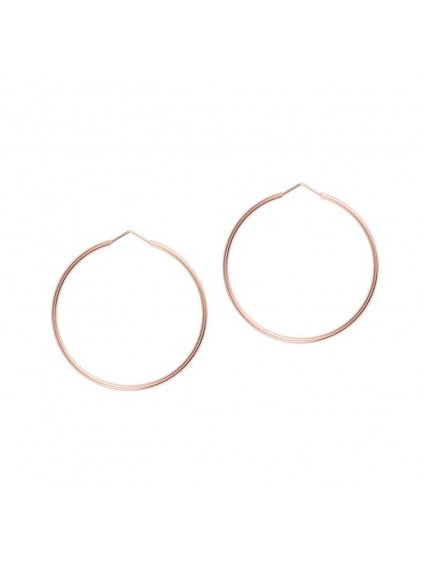 Collectable Earrings Rose Gold Plated 700x
