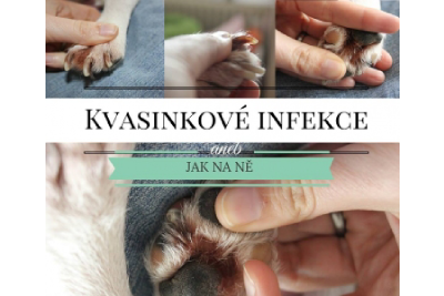 Kvasinkové infekce aneb jak na ně!