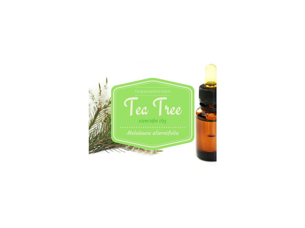 Tea tree (Melaleuca alternifolia)