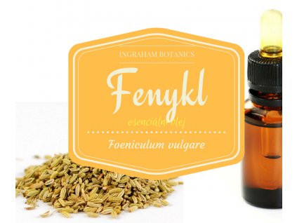 Fenykl (Foeniculum vulgare)