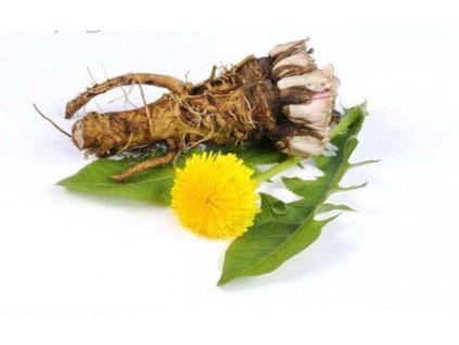 Pampeliška lékařská (Taraxacum officinale) kořen řezaný