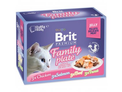 Brit Premium Cat D Fillets in Jelly Family Plate 1020g