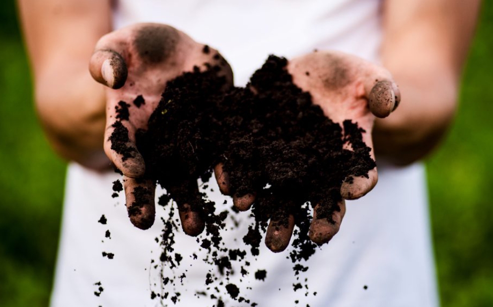 KOMPOST – rastlinný životabudič