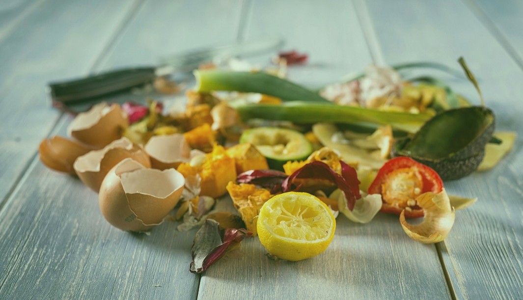 Čo patrí a čo nepatrí do vermikompostéru?