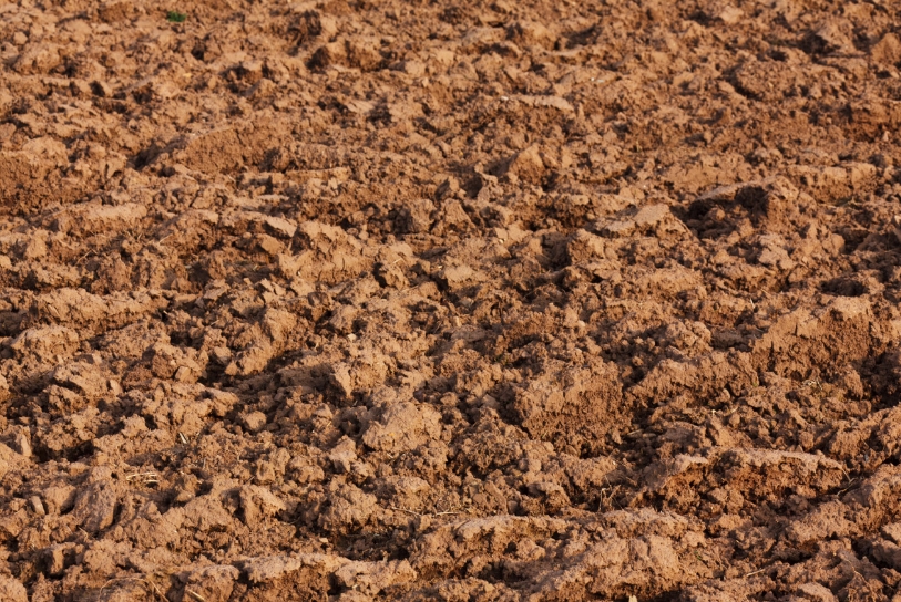 Pôda, zemina, hlina, substrát — aký je medzi nimi rozdiel?