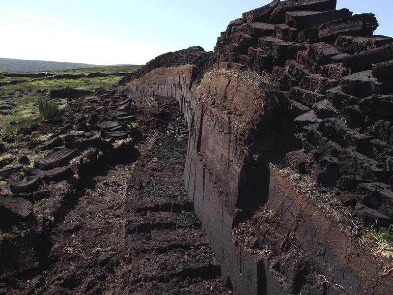 Rašelina, černozem, kompost, hnoj – viete, v čom sa líšia?