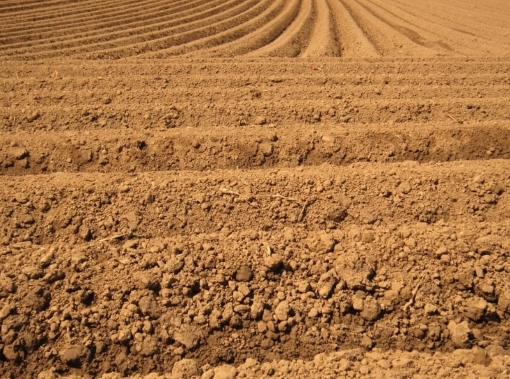 Aký typ pôdy máte v záhrade a ako zlepšiť jej štruktúru?