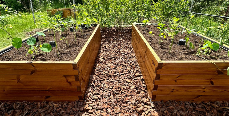 Vyvýšené záhony borovicové