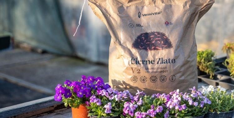 Vermikompost