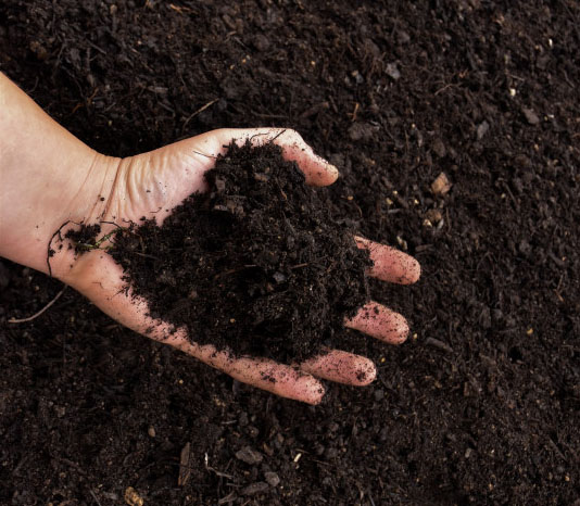 Kompost - organické hnojivo