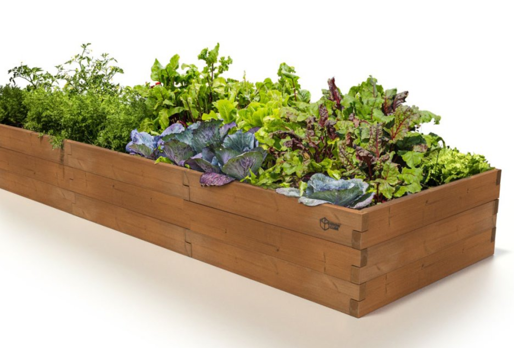 VYVÝŠENÝ ZÁHON GROW CUBE THERMO BOROVICA M