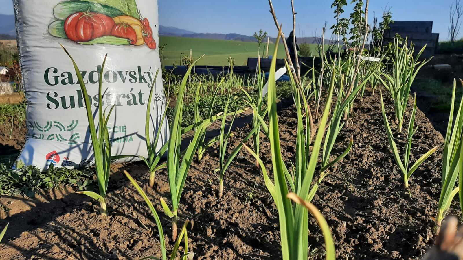 Gazdovský substrát obohatený o vermikompost