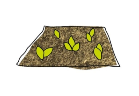 Mulčovacia netkaná textília z&nbsp;ovčej vlny chráni rastliny