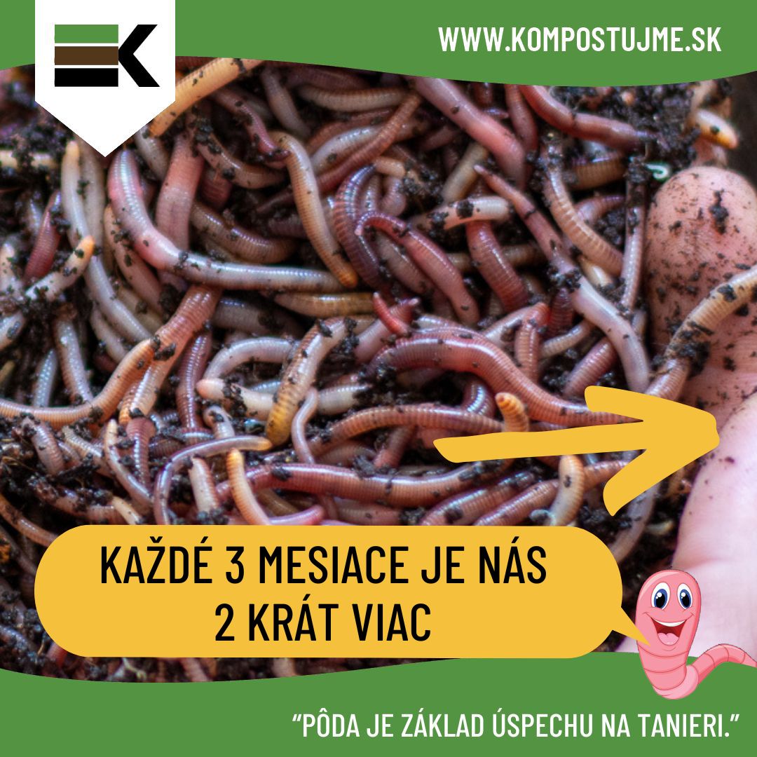 Prečo kompostovať s dážďovkami?