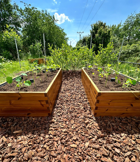 Vyvýšený záhon GROW CUBE thermo borovica L umiestnenie v záhrade