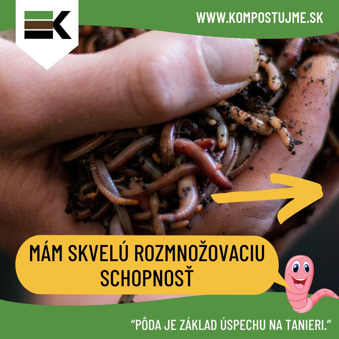 Prečo kompostovať s dážďovkami?