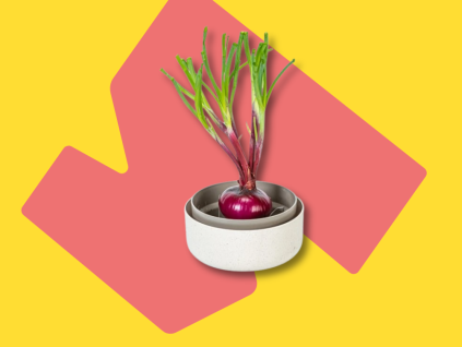 Regrow HT
