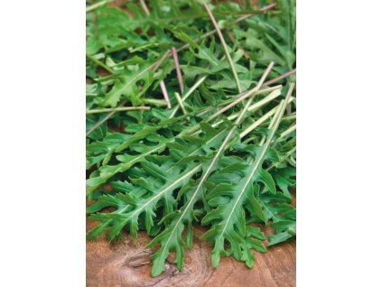 BIO Rukola Wild Rocket